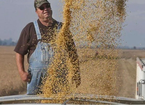 1634781069165719.jpg 3.webp.jpg